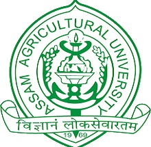 AAU Logo